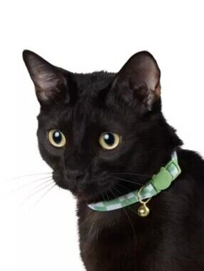 Whisker City NWT Green Checkered Breakaway Cat Collar Adult Size (8in-12in)